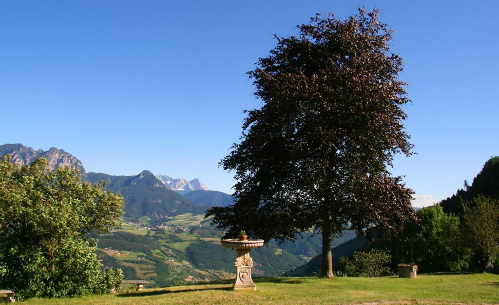 Naturhotel Wieserhof  Renon